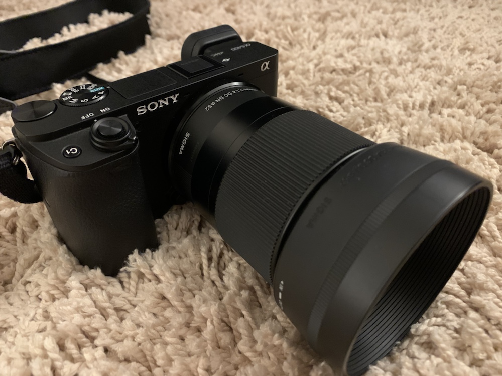 SONY ソニー α6600 ボディ SIGMA16m1.4レンズセット - カメラ